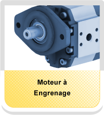 Moteur à engrenage