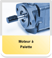 Moteur à palette