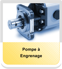 Pompe à engrenage